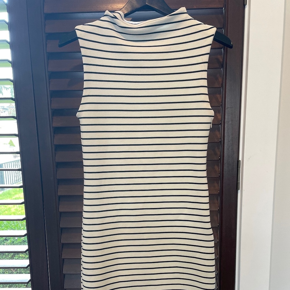 Zara dress